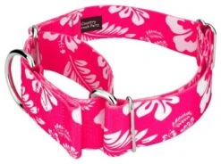 Country Brook Petz 1 1/2 Inch Pink Hawaiian Martingale Dog Collar 11 Country Brook Petz 1 1/2 Inch Pink Hawaiian Martingale Dog Collar -Country Brook Petz Store GUEST b771a097 a5ab 47af b86e 10ec505270cc