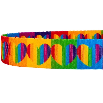 Country Brook Petz 6 Foot Dog Leash - Affection Collection 3 Country Brook Petz 6 Foot Dog Leash - Affection Collection - Image 3