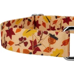Country Brook Petz Fall Foliage Martingale Dog Collar And Leash 7 Country Brook Petz Fall Foliage Martingale Dog Collar And Leash -Country Brook Petz Store GUEST bc34727b 30b4 422a 9553 845e292ba4d7