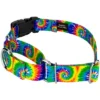 Country Brook Petz Martingale With Deluxe Buckle - Groovy Collection