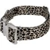 Country Brook Petz HossFit Jr Wide Premium Dog Collar - Animal Print Collection -Country Brook Petz Store GUEST bcf012c0 7086 4740 9fe8 88fff9a2557a