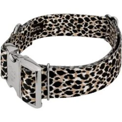 Country Brook Petz HossFit Jr Wide Premium Dog Collar - Animal Print Collection