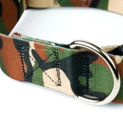 Country Brook Petz HossFit Jr Wide Deluxe Dog Collar - Camouflage Collection 12 Country Brook Petz HossFit Jr Wide Deluxe Dog Collar - Camouflage Collection -Country Brook Petz Store GUEST c064b760 45d0 454f a8b1 9e9d62c4366c