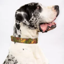 Country Brook Petz Southern Forest Camo Martingale Dog Collar -Country Brook Petz Store GUEST c29c7cf7 1516 492f 8db8 9e9b16555336
