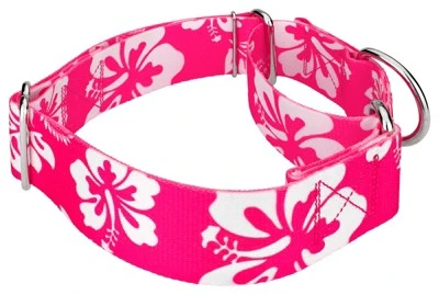 Country Brook Petz 1 1/2 Inch Pink Hawaiian Martingale Dog Collar 4 Country Brook Petz 1 1/2 Inch Pink Hawaiian Martingale Dog Collar - Image 4