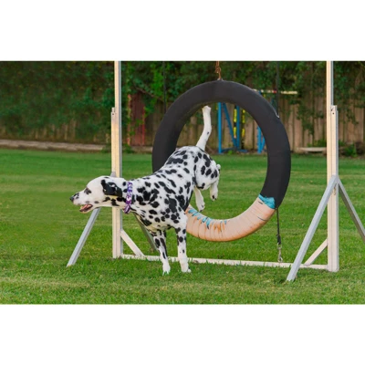 Country Brook Design - Purple Hawaiian Martingale Dog Collar 1 Country Brook Design - Purple Hawaiian Martingale Dog Collar