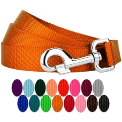 Country Brook Petz 6ft By 3/4 Inch Heavyduty Doublehandle Nylon Leash 36 Country Brook Petz 6ft By 3/4 Inch Heavyduty Doublehandle Nylon Leash -Country Brook Petz Store GUEST cdef58eb e11b 4e64 8060 d3ac79070858