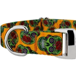 Country Brook Petz Premium Sugar Skulls Dog Collar (1 Inch, Extra Large) 6 Country Brook Petz Premium Sugar Skulls Dog Collar (1 Inch, Extra Large) -Country Brook Petz Store GUEST d097b5d7 de62 4927 82c4 f951b8dc50c5