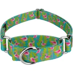 Country Brook Design - Flamingos Martingale Dog Collar -Country Brook Petz Store GUEST d31d5024 62d8 4fd1 a56a fad92e9c3547