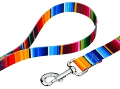 Country Brook Petz Serape Dog Leash (4 Foot, 5/8 Inch Wide)