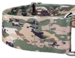 Country Brook Petz 1 1/2 Inch Mountain Viper Camo Martingale Dog Collar 12 Country Brook Petz 1 1/2 Inch Mountain Viper Camo Martingale Dog Collar -Country Brook Petz Store GUEST d4a64b62 0ad6 4af6 b698 3ddb71fb1eda
