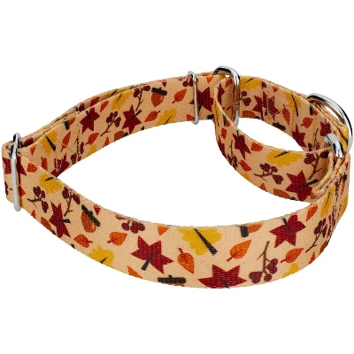 Country Brook Petz Fall Foliage Martingale Dog Collar And Leash 2 Country Brook Petz Fall Foliage Martingale Dog Collar And Leash - Image 2