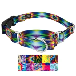 Country Brook Petz Martingale With Deluxe Buckle - Groovy Collection -Country Brook Petz Store GUEST db64fbd8 0c69 411c aa6b 33c3caf02ca0