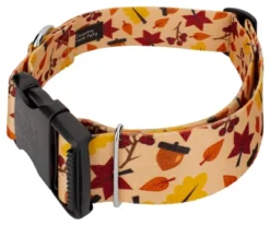 Country Brook Petz 1 1/2 Inch Deluxe Fall Foliage Dog Collar
