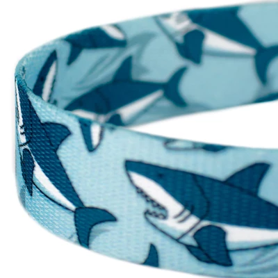 Country Brook Petz Sharks Dog Leash (6 Foot, 1/2 Inch Wide) 2 Country Brook Petz Sharks Dog Leash (6 Foot, 1/2 Inch Wide) - Image 2
