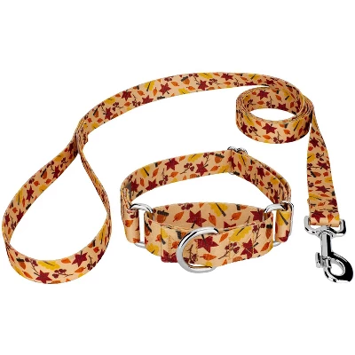 Country Brook Petz Fall Foliage Martingale Dog Collar And Leash 5 Country Brook Petz Fall Foliage Martingale Dog Collar And Leash - Image 5