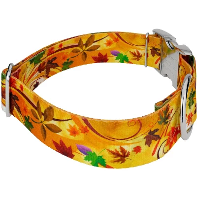 Country Brook Petz HossFit Jr Wide Premium Dog Collar - Awesome Autumn Collection 2 Country Brook Petz HossFit Jr Wide Premium Dog Collar - Awesome Autumn Collection - Image 2