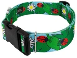 Country Brook Petz 1 1/2 Inch Deluxe Ladybug Picnic Dog Collar