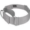 Country Brook Petz 1 1/2 Inch Martingale Heavyduty Nylon Dog Collar