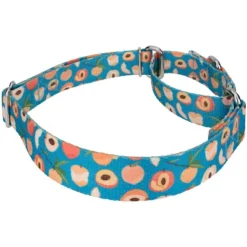 Country Brook Petz Peaches Martingale Dog Collar 9 Country Brook Petz Peaches Martingale Dog Collar -Country Brook Petz Store GUEST f44ca785 f4b8 4eff a480 b37fb33fc535
