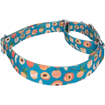 Country Brook Petz Peaches Martingale Dog Collar 2 Country Brook Petz Peaches Martingale Dog Collar - Image 2
