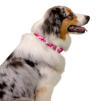 Country Brook Petz 1 1/2 Inch Pink Hawaiian Martingale Dog Collar 6 Country Brook Petz 1 1/2 Inch Pink Hawaiian Martingale Dog Collar - Image 6