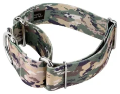 Country Brook Petz 1 1/2 Inch Mountain Viper Camo Martingale Dog Collar 10 Country Brook Petz 1 1/2 Inch Mountain Viper Camo Martingale Dog Collar -Country Brook Petz Store GUEST f9770237 ba60 4fbe b373 d6495ecc225a