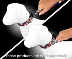 Country Brook Petz Spirit Of '76 Dog Leash (6 Foot, 1 Inch Wide)