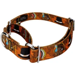 Country Brook Petz Thanksgiving Tradition Martingale Dog Collar