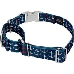 Country Brook Petz Martingale With Premium Buckle - Summer Breeze Collection