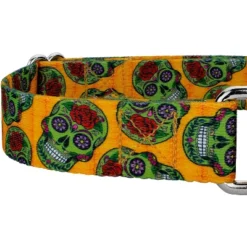 Country Brook Design Sugar Skulls Martingale Dog Collar (1 Inch, Medium) -Country Brook Petz Store GUEST fde85c4d 2cb9 49c2 957c 55d084f616bf