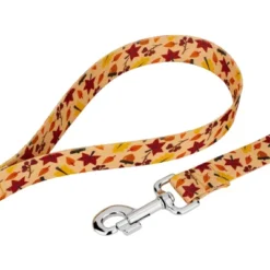 Country Brook Petz Fall Foliage Martingale Dog Collar And Leash 8 Country Brook Petz Fall Foliage Martingale Dog Collar And Leash -Country Brook Petz Store GUEST fe35dd48 0b51 45e8 b99d c004368d5dfa