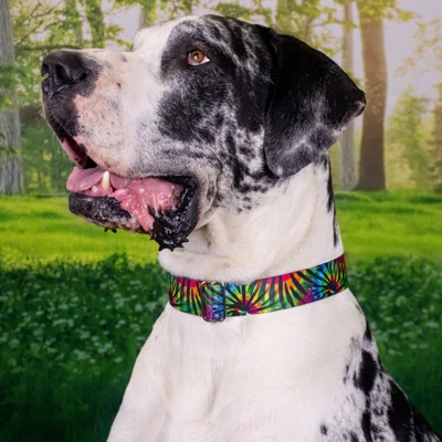 Country Brook Petz Tie Dye Stripes Martingale Dog Collar 6 Country Brook Petz Tie Dye Stripes Martingale Dog Collar - Image 6