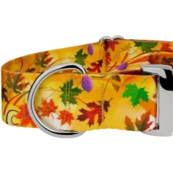 Country Brook Petz HossFit Jr Wide Premium Dog Collar - Awesome Autumn Collection 6 Country Brook Petz HossFit Jr Wide Premium Dog Collar - Awesome Autumn Collection -Country Brook Petz Store GUEST fff10b3b 8361 45a9 b77b 9e7861223c57