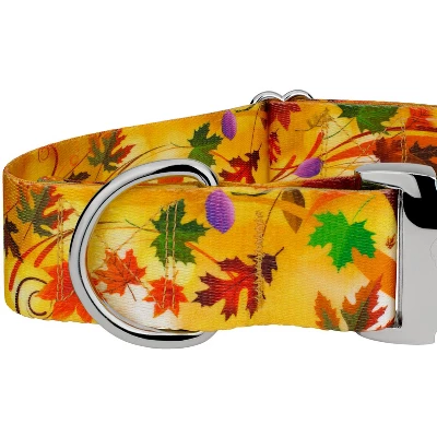 Country Brook Petz HossFit Jr Wide Premium Dog Collar - Awesome Autumn Collection 3 Country Brook Petz HossFit Jr Wide Premium Dog Collar - Awesome Autumn Collection - Image 3