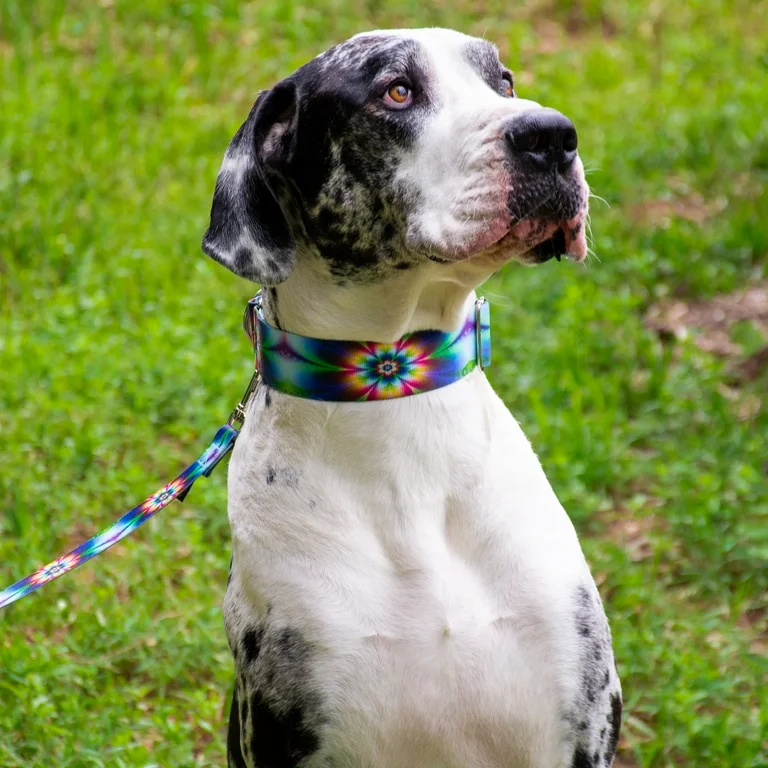 Country Brook Petz Store -Country Brook Petz Store b061b49d 6782 4b51 b4a3 7701a103e329 1.d6f5079a7b4a68d55b02ee93d45d97ef